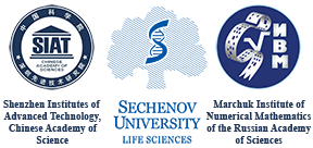 Logo for The 3rd Russian-Chinese School on Mathematical Modeling and Parallel Computing
